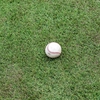 雑談：平日の昼間にプロ野球