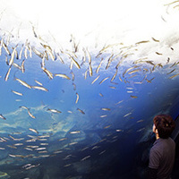 水族館
