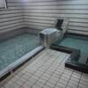 土出温泉　尾瀬岩鞍リゾートホテル　猫に会えるかも？スキー場併設のホテルで日帰り入浴