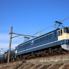 PF充当8460レ、遅れ3071レなど　貨物列車撮影 2/1