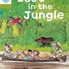 Lost in the Jungle