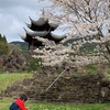 冠岳花川砂防公園で子どもとお花見❤︎