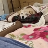 最近の懸念
