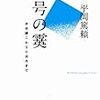 平岡篤頼『記号の霙』