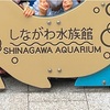 品川水族館いてきた記録！その①