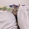 温かいね🥰