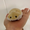 子供を応援！【かわいい♥︎ハムスター卓上クリーナー】