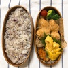 20190729鶏唐揚げの玉ねぎソースがけ弁当【プラス小２学童弁当】＆初めての自由研究