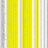 第10回詰将棋解答選手権　チャンピオン戦　最終成績