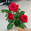 薔薇と秋明菊