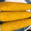 嶽きみ2025・粒ぞろいのスイートコーン最高です🌽