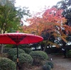 東京の名庭園 『 六義園 』 の紅葉