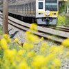 黄色い花に黄帯の西武電車