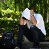 クラピアが広がらない？10年育ててわかった原因と対策まとめ