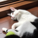 36歳の反抗期☆