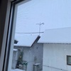 健康な体を作るには　雪