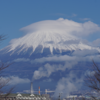 静岡の富士市での犬とのお散歩と写真スポット