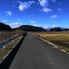 田舎の散歩道。