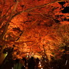 2015年12月6日､京都嵐山の宝厳院の紅葉のライトアップを見に行ってきました｡