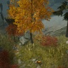 wrathの個人的メモ４
