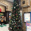 もうツリーかあ🎄