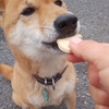 幸せ～♡のお顔。