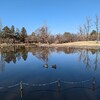 彩の森入間公園ほか