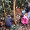 ネブトクワガタと地球の不思議