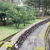 北川村の風景　野川編