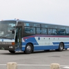 沖縄バス / 沖縄22き ・173