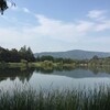 Vasona Lake