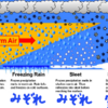  みぞれの違い