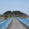 ソメイヨシノ開花　～湖山池・鳥取市～