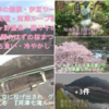 レインボーブリッジと比較は可愛そうだね『河津七滝ループ橋』