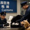 体内からコカイン74個摘発　関西空港ブラジル女性逮捕の真相