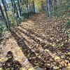 まだまだ紅葉ラン、33キロ走