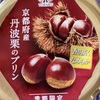 京都府産丹波栗のプリン