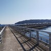 ノープラン熱海～伊豆の旅 その２