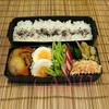 2018年4月27日 肉じゃが弁当