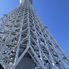 【いただきもの】東京うさぎや　どらやき＆高３娘再び東京へ