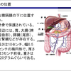 次の転移は何処❓