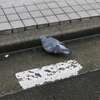 素足