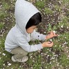 双子の3歳児が4月-5月に保育園で経験したこと: 慣らし保育からオムツ外れまで