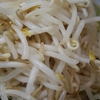 【男子ごはん】茹でもやしの辛肉ダレのレシピ！春のリクエストSP【4月27日】