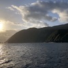 【泳がせ釣り】八丈島でキハダマグロが・・・　Part 1 (2020/03/09 ~ 13)
