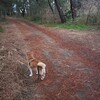 バイクとの別れ、、、。