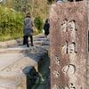 京都2019_3月：ねねの道