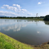 両津野球場横の池（仮称）（新潟県佐渡）
