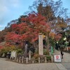 高尾山登山で体力増強