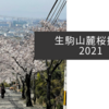 生駒山麓桜探訪2021